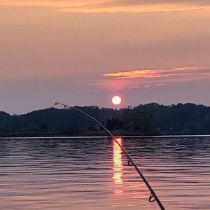 Meet your Posher, Alan